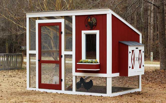 Animal shelters, chicken coops, Kitchener